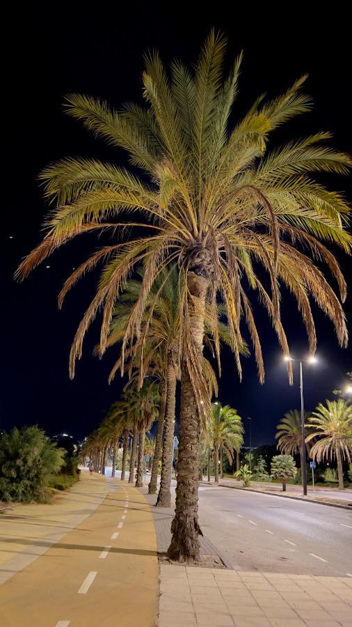 Limar Playa Vera